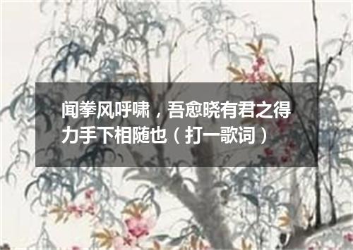 闻拳风呼啸，吾愈晓有君之得力手下相随也（打一歌词）
