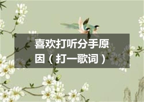 喜欢打听分手原因（打一歌词）