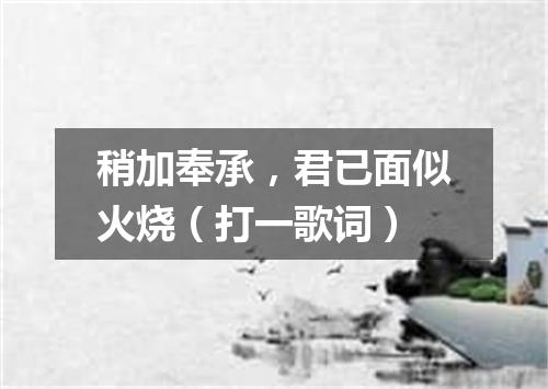 稍加奉承，君已面似火烧（打一歌词）