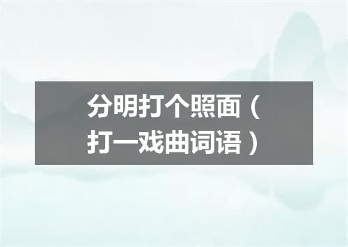 分明打个照面（打一戏曲词语）