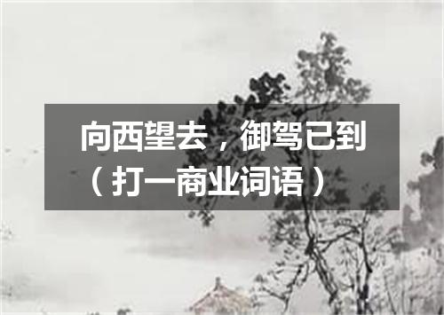 向西望去，御驾已到（打一商业词语）