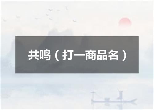 共鸣（打一商品名）