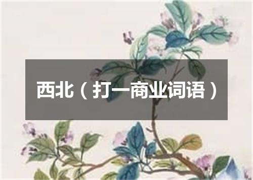 西北（打一商业词语）