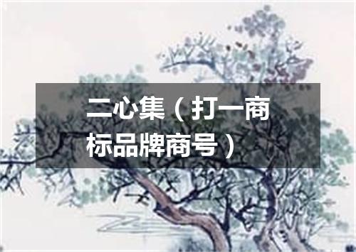 二心集（打一商标品牌商号）