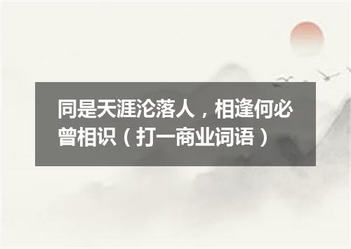 同是天涯沦落人，相逢何必曾相识（打一商业词语）