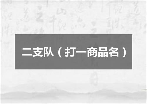 二支队（打一商品名）