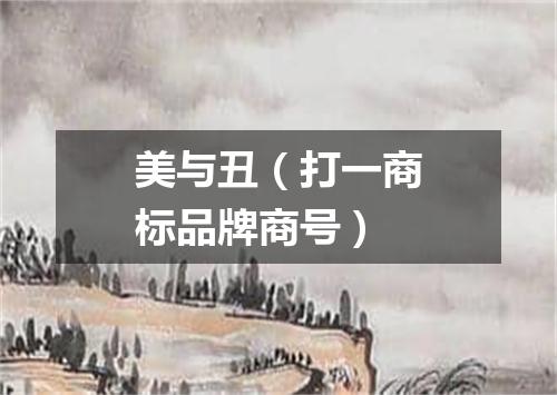 美与丑（打一商标品牌商号）