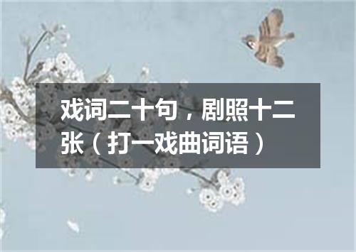 戏词二十句，剧照十二张（打一戏曲词语）