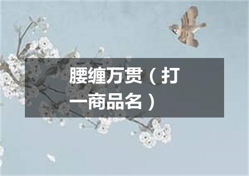 腰缠万贯（打一商品名）