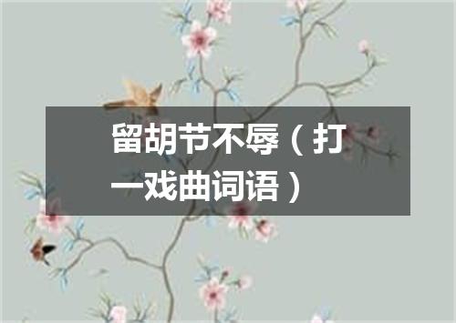 留胡节不辱（打一戏曲词语）