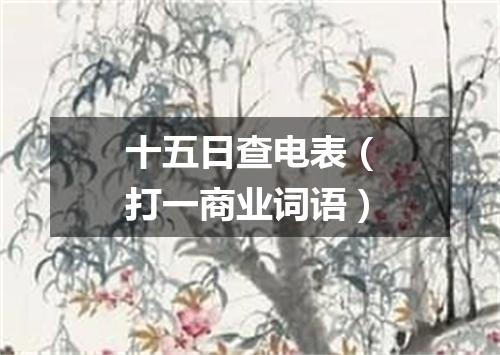 十五日查电表（打一商业词语）