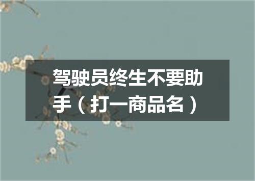 驾驶员终生不要助手（打一商品名）