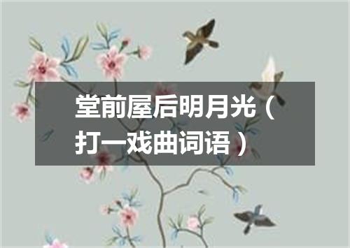 堂前屋后明月光（打一戏曲词语）