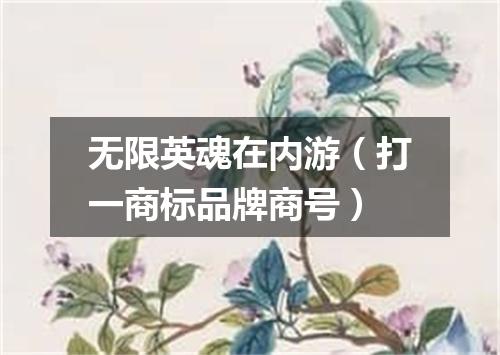 无限英魂在内游（打一商标品牌商号）