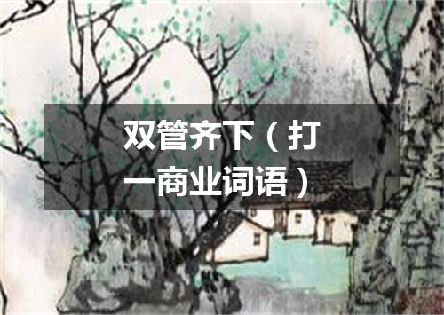 双管齐下（打一商业词语）