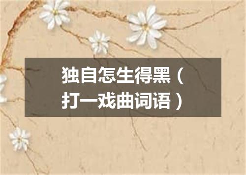 独自怎生得黑（打一戏曲词语）