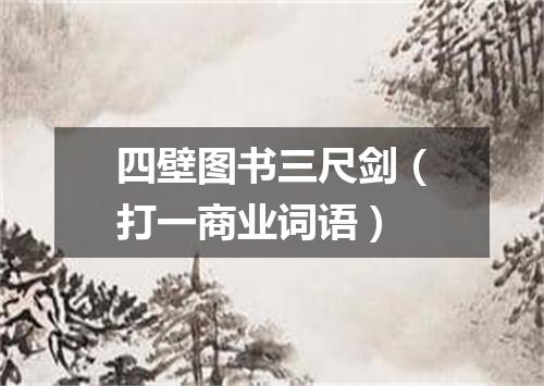 四壁图书三尺剑（打一商业词语）