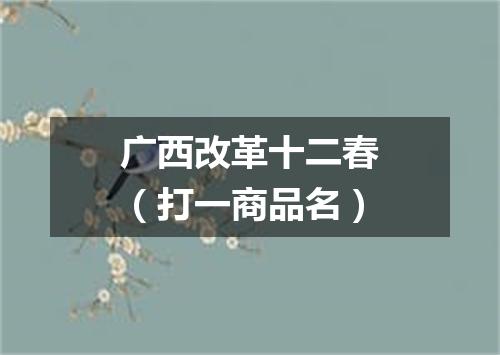 广西改革十二春（打一商品名）