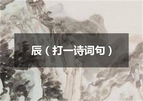 辰（打一诗词句）