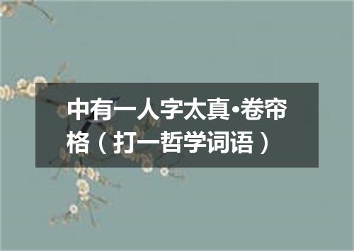 中有一人字太真·卷帘格（打一哲学词语）