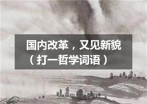 国内改革，又见新貌（打一哲学词语）