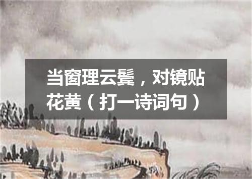 当窗理云鬓，对镜贴花黄（打一诗词句）