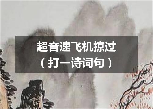 超音速飞机掠过（打一诗词句）