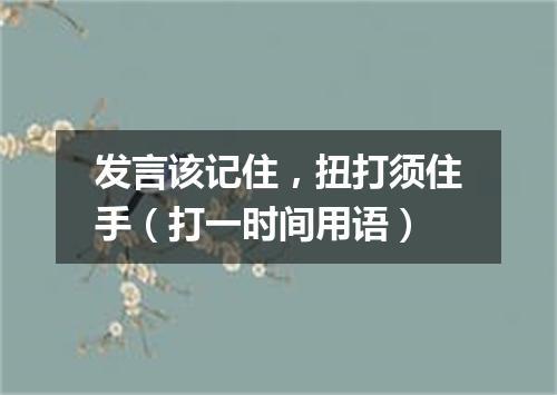 发言该记住，扭打须住手（打一时间用语）