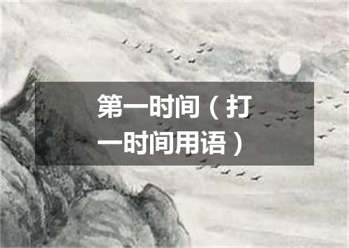 第一时间（打一时间用语）