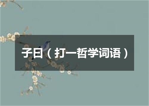 子曰（打一哲学词语）