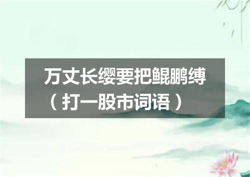 万丈长缨要把鲲鹏缚（打一股市词语）