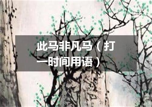 此马非凡马（打一时间用语）