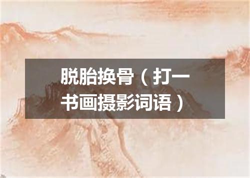 脱胎换骨（打一书画摄影词语）
