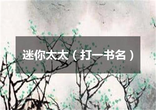 迷你太太（打一书名）