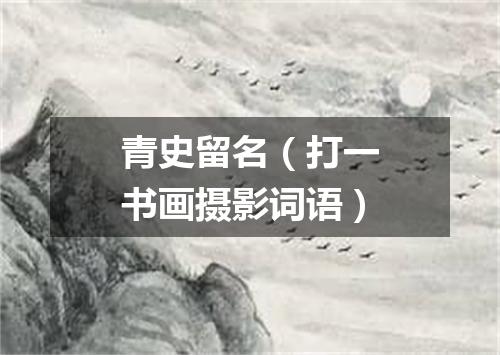 青史留名（打一书画摄影词语）