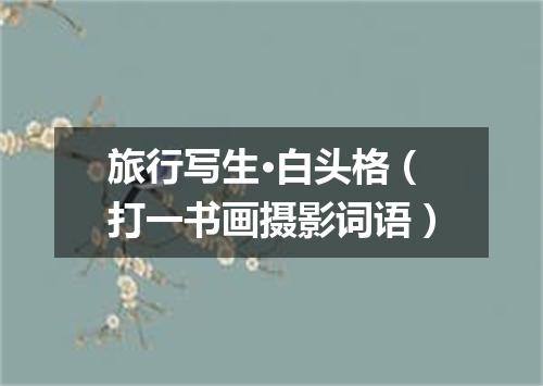 旅行写生·白头格（打一书画摄影词语）