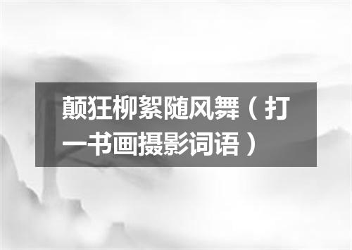 颠狂柳絮随风舞（打一书画摄影词语）