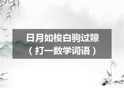 日月如梭白驹过隙（打一数学词语）