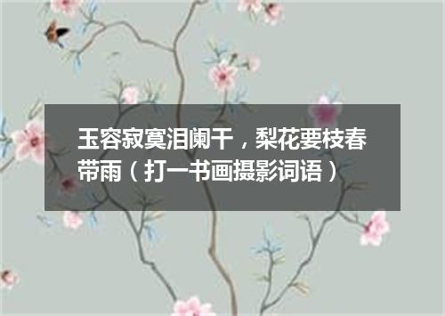 玉容寂寞泪阑干，梨花要枝春带雨（打一书画摄影词语）