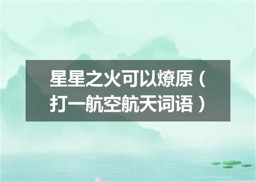 星星之火可以燎原（打一航空航天词语）