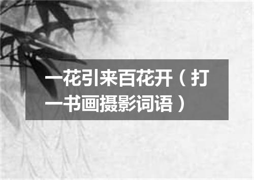 一花引来百花开（打一书画摄影词语）
