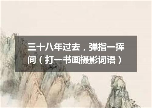 三十八年过去，弹指一挥间（打一书画摄影词语）
