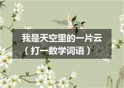 我是天空里的一片云（打一数学词语）