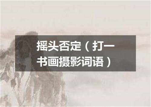 摇头否定（打一书画摄影词语）