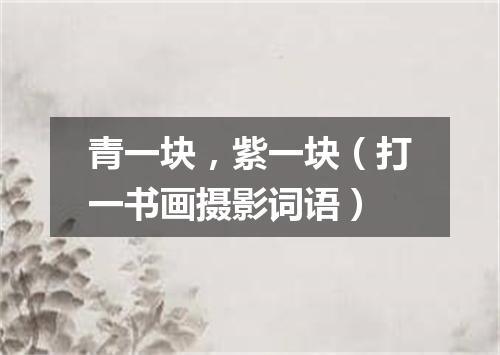 青一块，紫一块（打一书画摄影词语）