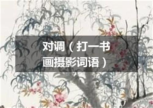 对调（打一书画摄影词语）