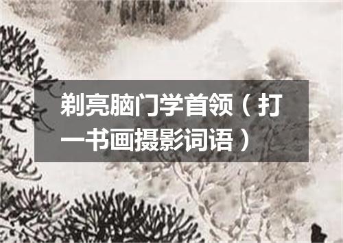 剃亮脑门学首领（打一书画摄影词语）