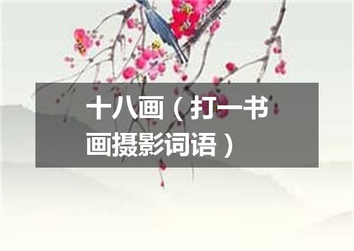 十八画（打一书画摄影词语）
