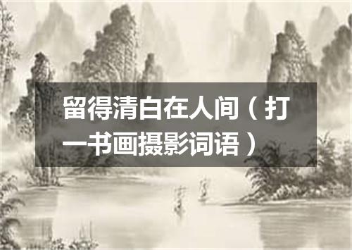 留得清白在人间（打一书画摄影词语）