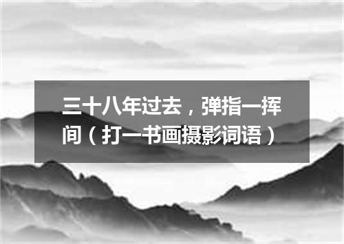 三十八年过去，弹指一挥间（打一书画摄影词语）